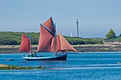 Frankreich, Finistère (29), Pays des Abers, Côte des Legendes, l'Aber Wrac'h, Notre Dame de Rumengol ist eine 1945 in Dundee gebaute Gabare (Frachtschiff) in Camaret, im Hintergrund der Leuchtturm der Ile Vierge