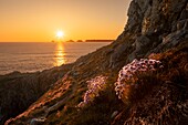 France, Finistere, Regional Natural Armoric Park, Crozon, Dinan cape, Sunset view from Dinan cape to Penhir rocks
