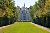 France, Loir et Cher, Valley of the Loire listed as World Heritage by UNESCO, Chambord, the Royal Castle seen from the gardens