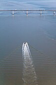 Frankreich, Charente Maritime, La Tremblade, Austernboot auf der Mündung der Seudre und die Brücke (Luftaufnahme)