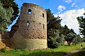 France, Var, Frejus, Forum Julii, Roman tower in the northern ramparts of the Roman city in the Clos de la Tour garden