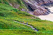 France, Cotes d'Armor, Erquy, GR 34 hiking trail between Lourtuais beach Erquy Cape