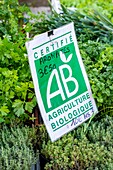 France, Haute Garonne, Toulouse, Church Market Saint Aubin, AB Agriculture Organic