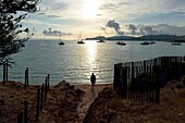 France, Var, Iles d'Hyeres, Parc National de Port Cros (National park of Port Cros), Porquerolles island, Anse du bon Renaud, plage d'Argent (siver beach)