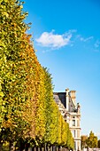 Frankreich, Paris, der Tuileriengarten