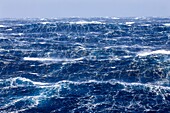 France, Indian Ocean, French Southern and Antarctic Lands listed as World Heritage by UNESCO, violent storm, Beaufort scale 10 gusting to 11 in the roaring forties, picture taken aboard the Marion Dufresne (supply ship of French Southern and Antarctic Territories) underway from Crozet Islands to Kerguelen Islands