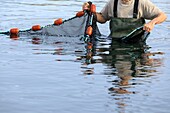 France, Bouches du Rhone, Saint Chamas, Etang de Berre, Marine Farm of La Durançole