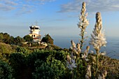 Frankreich, Bouches du Rhone, Calanques-Nationalpark, Canaille-Massiv, La Ciotat, Adlerschnabel-Semaphor, Asphodeles