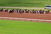 France, Bouches du Rhone, Marseille, 8th arrondissement, Bonneveine district, Borély racetrack, trotting race