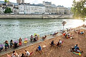 Frankreich, Paris, Parc des Rives de Seine, von der UNESCO zum Weltkulturerbe erklärt, Picknick vor der Ile de la Cite
