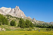 France, Hautes Alpes, Nevache, La Claree valley, in the background the massif of Cerces (3093m) and the peaks of the Main de Crepin (2942m)