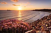 France, Finistere, Regional Natural Armoric Park, Camaret sur Mer, Penhir cape, Pen Hat sunset