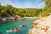 France, Bouches du Rhone, Cassis, the cove of Port Pin, Calanques National Park