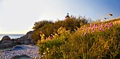 France, Finistere, Pays des Abers, Brignogan Plages, the Pontusval Lighthouse behind maritime armories flowers