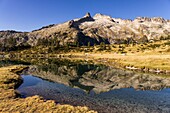 France, Hautes Pyrenees, Neouvielle Nature Reserve, Neouvielle massif (3091m) and Aumar Lake