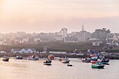 Frankreich, Finistere, Le Conquet im Morgennebel, Fischerhafen im Meeresnaturpark Iroise