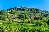 France, Ardeche, Lussas, Ardeche vineyard and the perched village of Saint Laurent sous Coiron