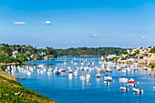 France, Finistere, Le Conquet, fishing port in the marine natural park of Iroise