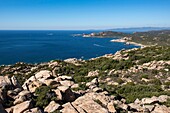Frankreich, Corse du Sud, Campomoro, Tizzano, Wanderung auf dem Küstenpfad im Naturschutzgebiet Senetosa, von der Spitze des genuesischen Turms geht der Blick weit über das Meer und die Westküste der Insel