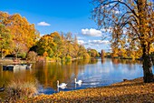 France, Paris, the Bois de Vincennes in autumn, Lake Daumesnil