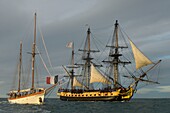 Frankreich, Herault, Sete, Escale a Sete Festival, Fest der maritimen Traditionen, Parade der Boote auf See mit der Fregatte Hermione