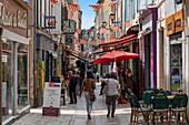 France, Aveyron, Millau, Droite street, goes and comes from walkers in a shopping street