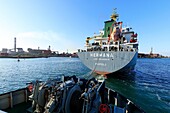 France, Bouches du Rhone, Gulf of Fos sur Mer, Port de Bouc, tug of the company Boluda