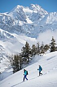 France, Haute Savoie, Massif of the Mont Blanc, the Contamines Montjoie, trails round in rackets with snow from the tracks of the Signal and the high summits of the nature reserve