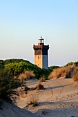 France, Gard, Le Grau du Roi, protected natural site of Espiguette, beach and lighthouse of Espiguette