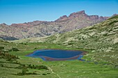 Frankreich, Haute Corse, Corte, Restonica-Tal, Flug über die Seen des Regionalen Naturparks, hier der Lago Nino am GR20, umgeben von Puzzine und dem Loch von Capu Tafunatu, dem Kragen der Mauren und Paglia Orba (Luftaufnahme)