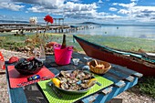 France, Herault, Meze,oyster farm Chez Cati, plate of oysters and pot of molds on a table in border of the lagoon of Thau
