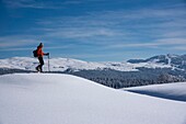 France, Jura, GTJ, great crossing of the Jura on snowshoes, crossing majestic landscapes between Lajoux and Molunes with the high peaks of Jura including Colomby de Gex