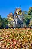 France, Cote d'Or, Cultural landscape of Burgundy climates listed as World Heritage by UNESCO, route des Grands Crus de Bourgogne, cote de Beaune vineyard, Aloxe Corton, château Corton André