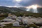 France, Corse du Sud, Alta Rocca, plateau of Coscione, light effect and sunbeam through clouds towards the sheepfolds of Chiralbella