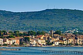 Frankreich, Herault, Bouzigues, Dorf am Rande der Lagune von Thau mit dem Massiv von Gardiole im Hintergrund