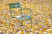 France, Paris, Luxembourg Garden in Autumn