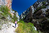 Frankreich, Alpes-de-Haute-Provence, Regionaler Naturpark Verdon, Grand Canyon du Verdon, der Fluss Verdon am Eingang zum Samson-Korridor, vom Weg Blanc-Martel auf dem GR4 aus, Frau beim Wandern