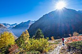 Frankreich, Isere, Nationalpark Ecrins, Veneon-Tal, Wanderung von Saint-Christophe-en-Oisans zur Schutzhütte L'Alpe du Pin