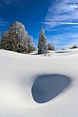 France, Jura, GTJ, great crossing of the Jura on snowshoes, crossing majestic landscapes laden with snow towards Molunes
