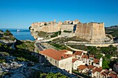 Frankreich, Corse du Sud, Bonifacio, die Zitadelle, die Bastion von Etendard und die niedrige Stadt vom Klippenweg aus gesehen
