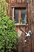 France, Haut Rhin, Route des Vins d'Alsace, Colmar, detail of the facade of a house in La Petite Venise district