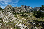 France, Corse du Sud, Alta Rocca, Bavella pass, hike to the bomb hole, U Tafunu di u Compuleddu, and the needles of Bavella