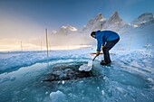 France, Isère (38), Belledonne, Chamrousse, Robert Lakes, while a team of divers is preparing to dive under the ice, the director of the Dive Xtreme club prepares the skylights by breaking the cool ice of the night