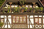 France, Haut Rhin, Route des Vins d'Alsace, Kaysersberg labelled Les Plus Beaux Villages de France (One of the Most Beautiful Villages of France), detail of 1592 Herzer house