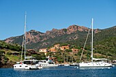 France, Corse du Sud, Porto, Gulf of Porto listed as World Heritage by UNESCO, the village of Girolata accessible by boat or on foot, sailboats anchored in the port