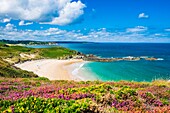 Frankreich, Cotes d'Armor, Plevenon, Strand von La Fosse, angrenzend an die Pointe de la Guette