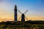 France, Finistere, Ponant islands, Armorica Regional Nature Park, Iroise Sea, Ouessant island, Biosphere Reserve (UNESCO), Le Moulin de Karaës towards the Créac'h lighthouse