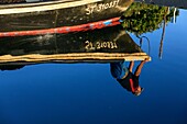 France, Herault, Meze, Thau Basin, marina