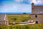 France, Finistere, Ponant Islands, Armorica Regional Nature Park, Iroise Sea, Ouessant Island, Biosphere Reserve (UNESCO), Lampaul, Boat in front of Ouessantin Garden