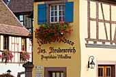 France, Haut Rhin, Route des Vins d'Alsace, Eguisheim labelled Les Plus Beaux Villages de France (One of the Most Beautiful Villages of France), Unterlinden courtayrd, facade of Joseph Freudenreich wine cellar